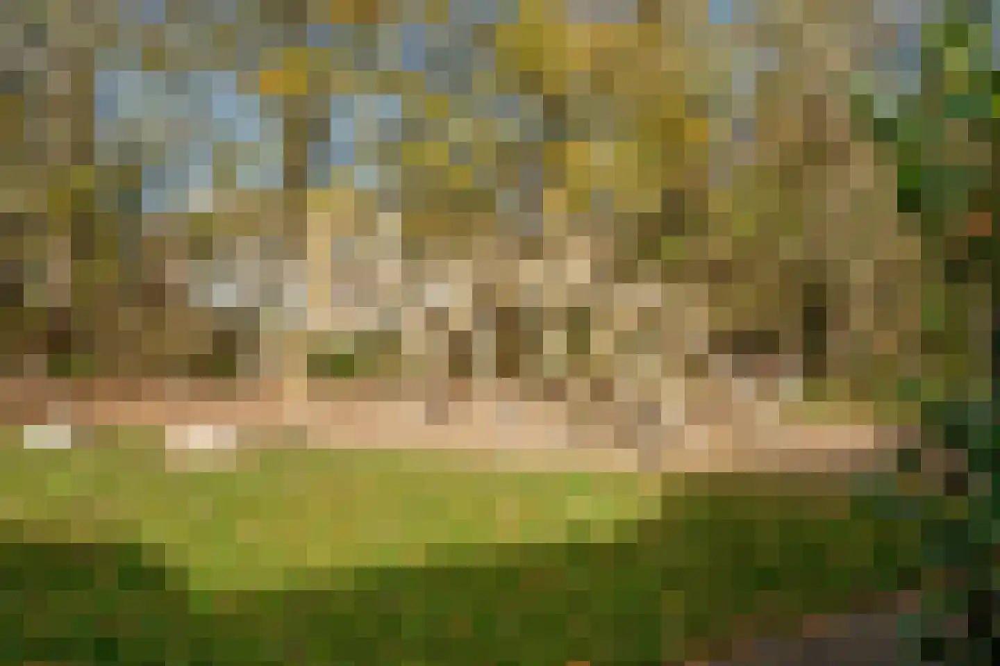 Hooikamp 62 Leidschendam thumbnail 45