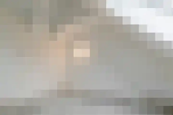 Hooikamp 7 Culemborg thumbnail 21