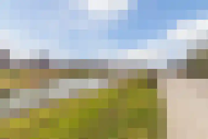 Hooikamp 7 Culemborg thumbnail 27