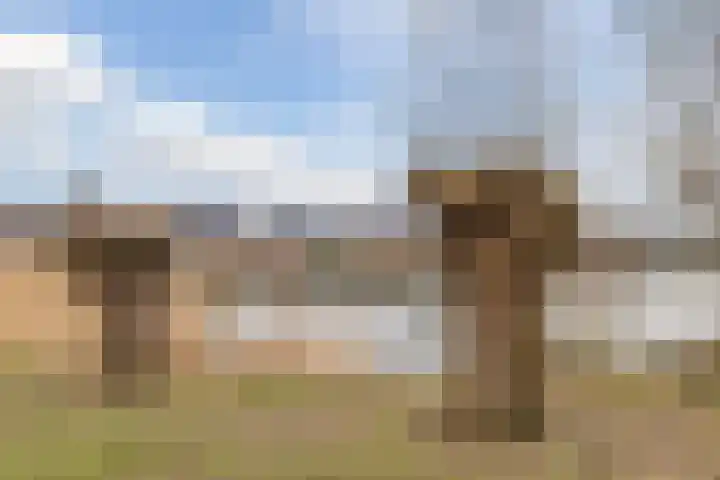 Hooikamp 7 Culemborg thumbnail 28