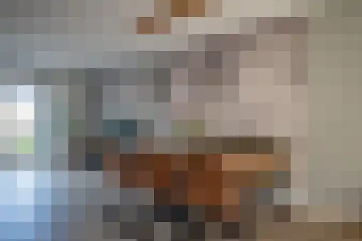 Hooikampen 7 Ruinen thumbnail 10