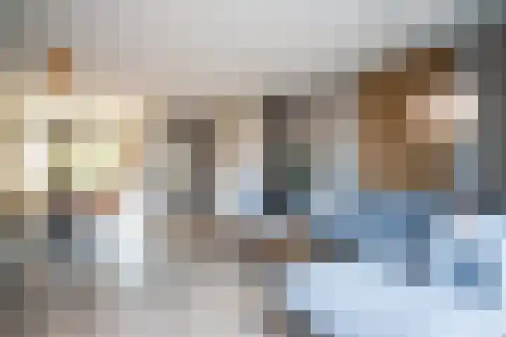 Hooikampen 7 Ruinen thumbnail 11