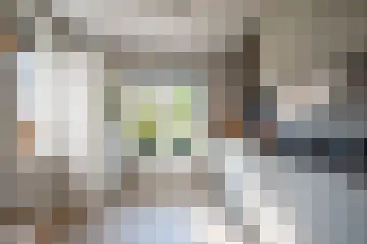Hooikampen 7 Ruinen thumbnail 13