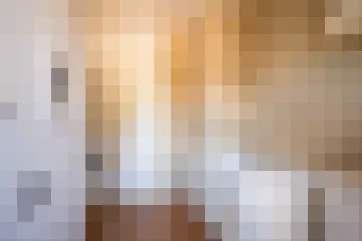 Hooikampen 7 Ruinen thumbnail 18