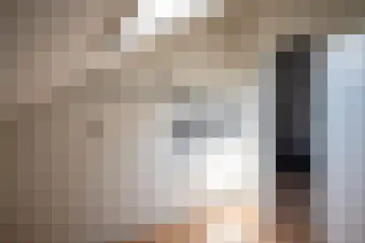 Hooikampen 7 Ruinen thumbnail 24