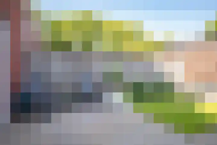Hooikampen 7 Ruinen thumbnail 27