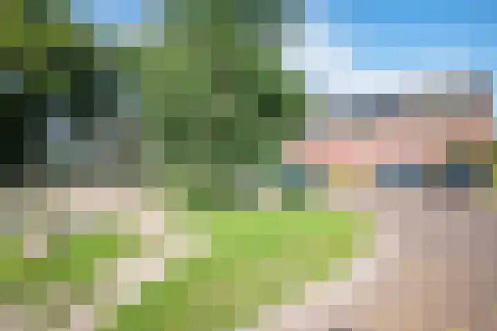 Hooikampen 7 Ruinen thumbnail 28
