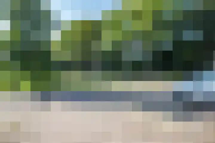 Hooikampen 7 Ruinen thumbnail 29