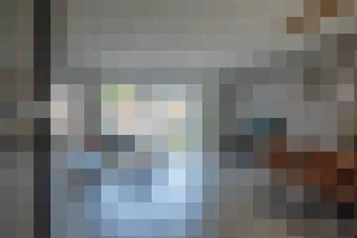 Hooikampen 7 Ruinen thumbnail 7