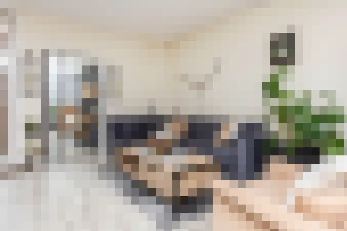 Hooiklamp 14 Zwaag thumbnail 10