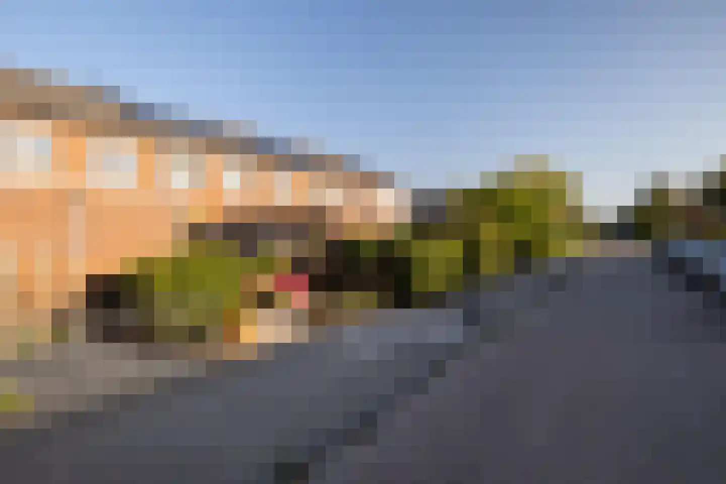 Hooiklamp 14 Zwaag thumbnail 22