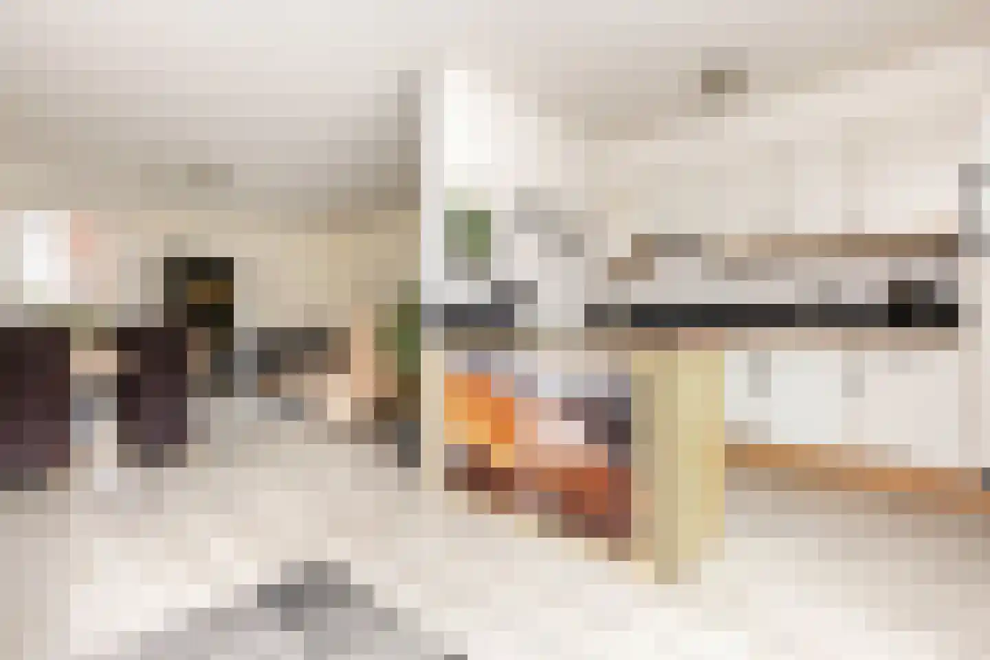 Hooiklamp 14 Zwaag thumbnail 4
