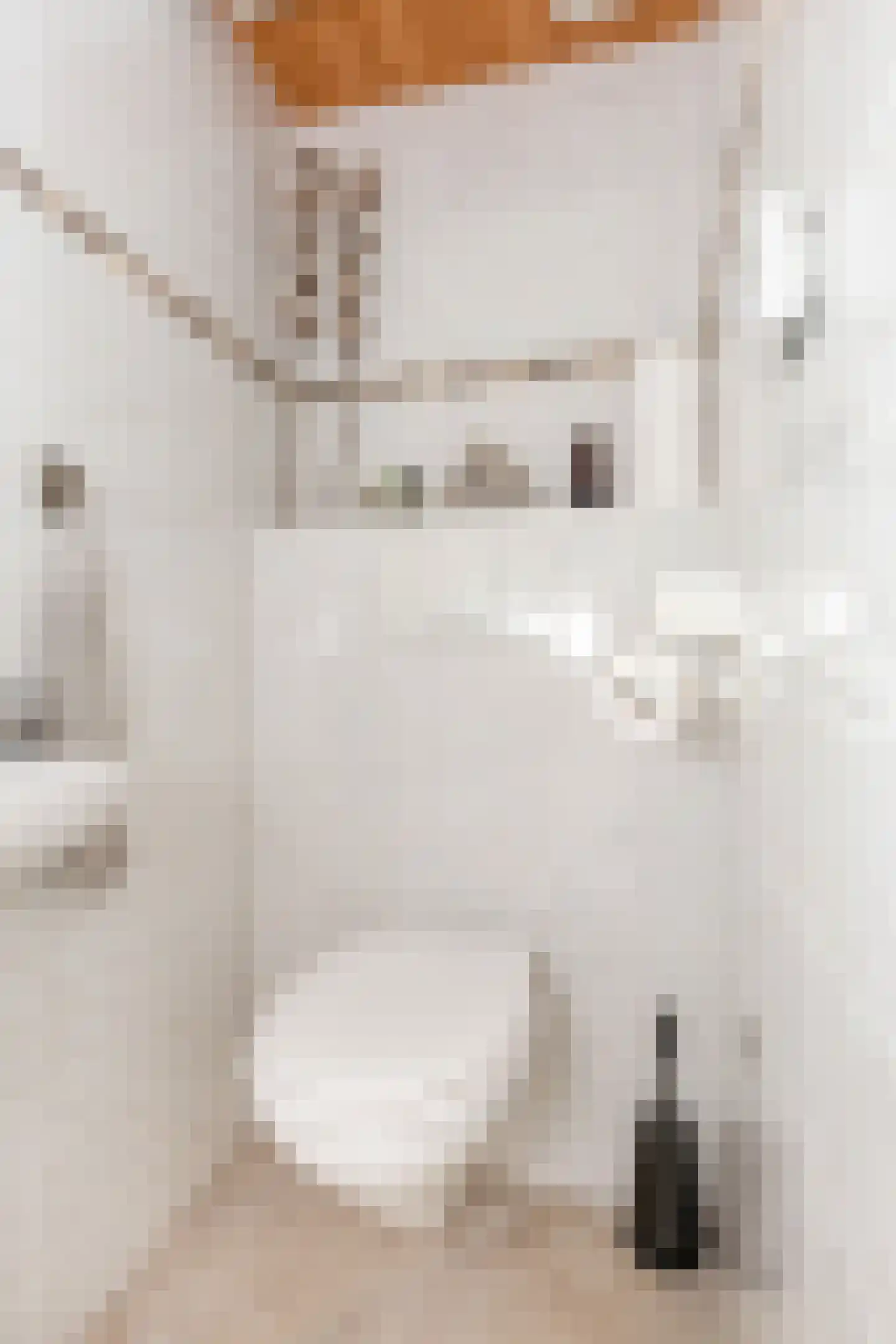 Hooiklamp 14 Zwaag thumbnail 7