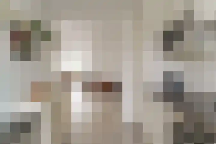 Hooiklamp 7 Zwaag thumbnail 11