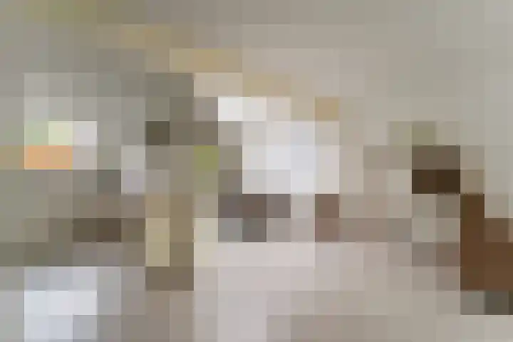 Hooiklamp 7 Zwaag thumbnail 12