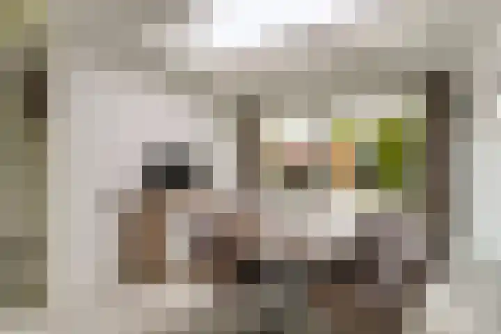 Hooiklamp 7 Zwaag thumbnail 13