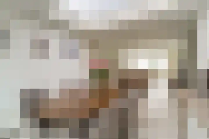 Hooiklamp 7 Zwaag thumbnail 14