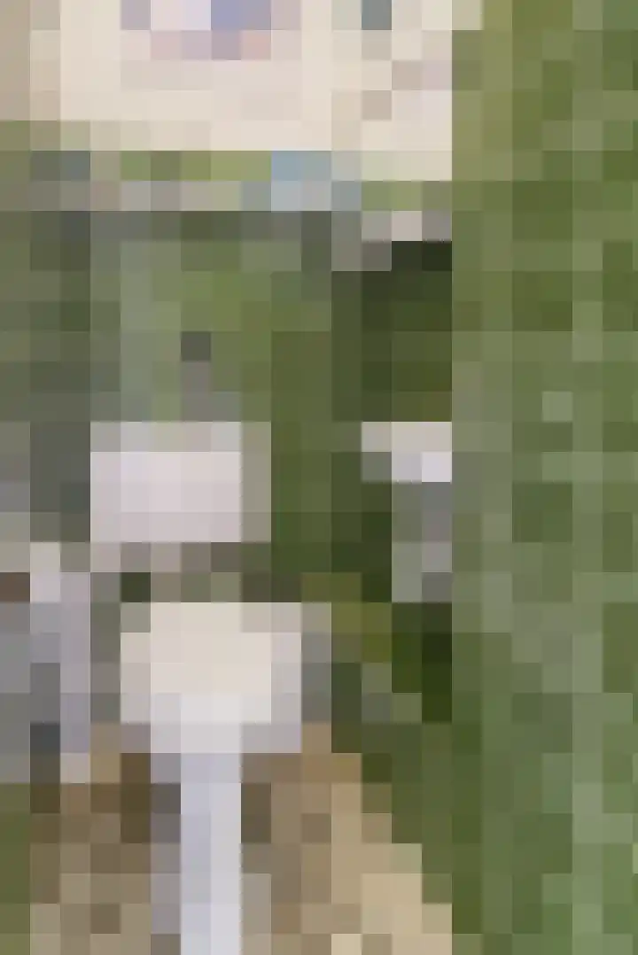 Hooiklamp 7 Zwaag thumbnail 20