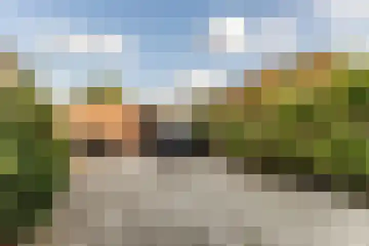 Hooiklamp 7 Zwaag thumbnail 22