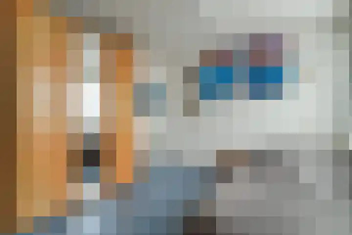 Hooiklamp 7 Zwaag thumbnail 33