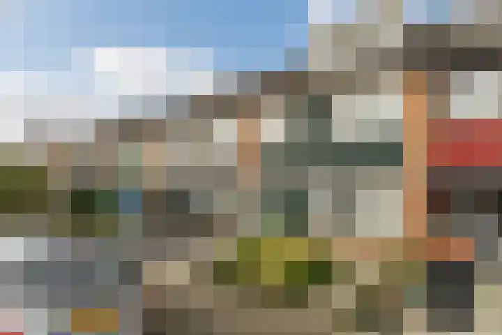 Hooiklamp 7 Zwaag thumbnail 39