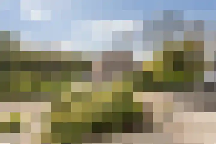 Hooiklamp 7 Zwaag thumbnail 40