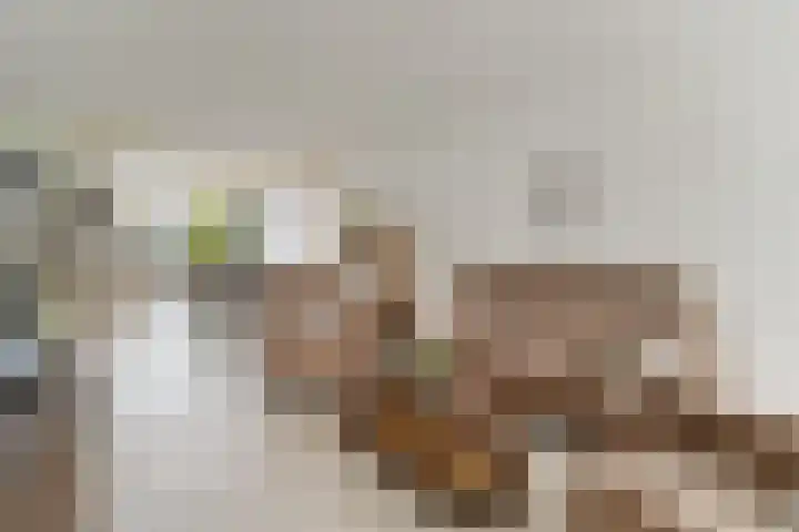 Hooiklamp 7 Zwaag thumbnail 5