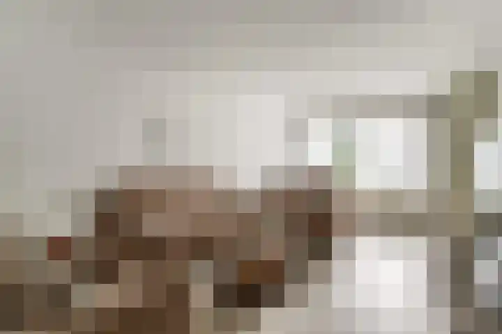 Hooiklamp 7 Zwaag thumbnail 7