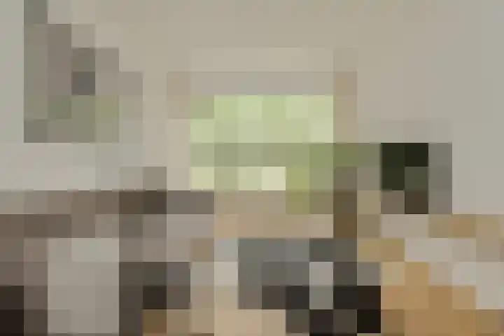Hooilaan 104 Breda thumbnail 12