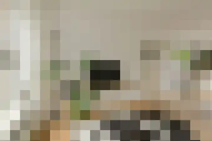 Hooilaan 104 Breda thumbnail 13
