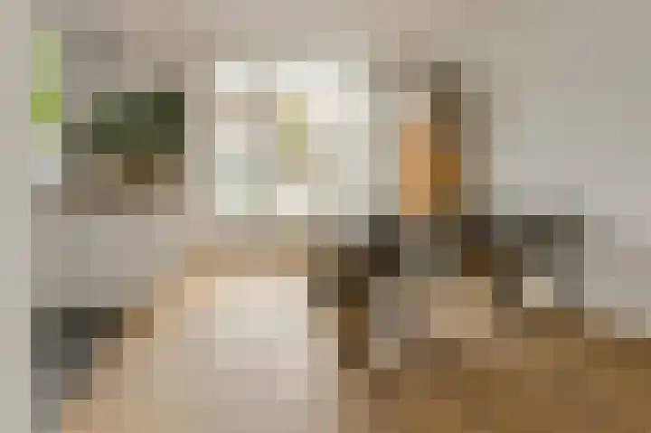 Hooilaan 104 Breda thumbnail 15