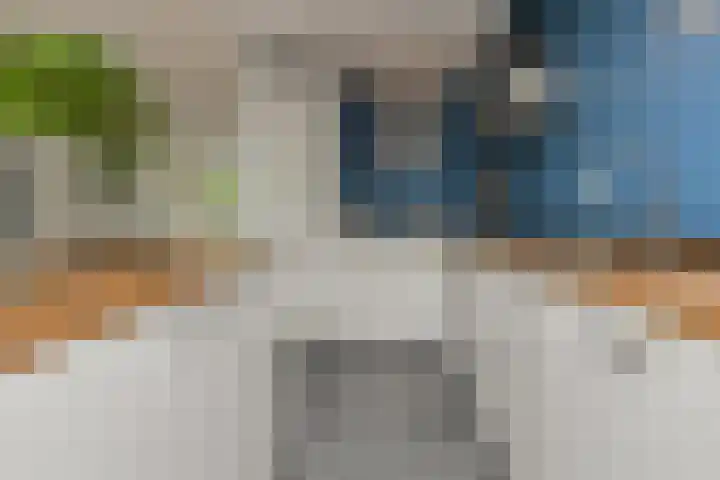 Hooilaan 104 Breda thumbnail 20