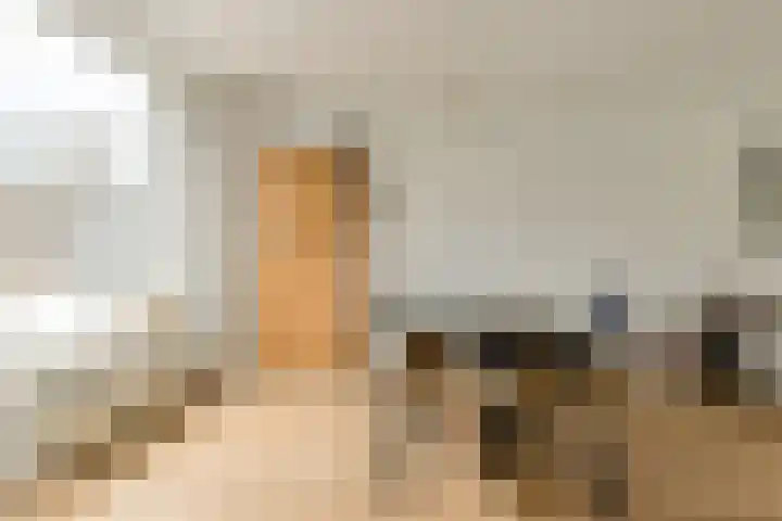 Hooilaan 104 Breda thumbnail 23