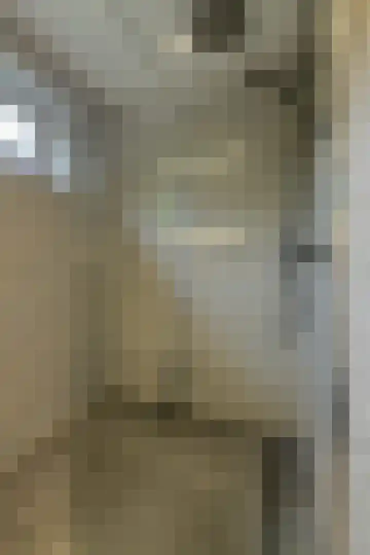 Hooilaan 104 Breda thumbnail 30
