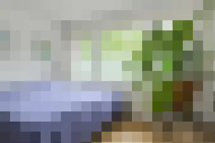 Hooilaan 104 Breda thumbnail 33