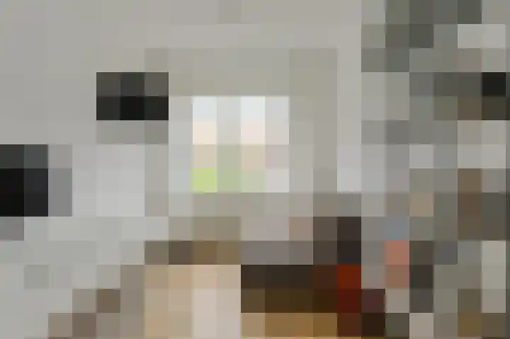 Hooilaan 104 Breda thumbnail 35