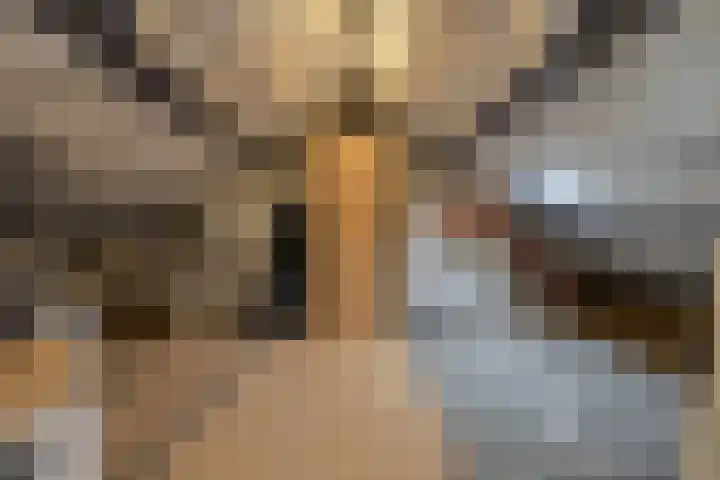 Hooilaan 104 Breda thumbnail 40