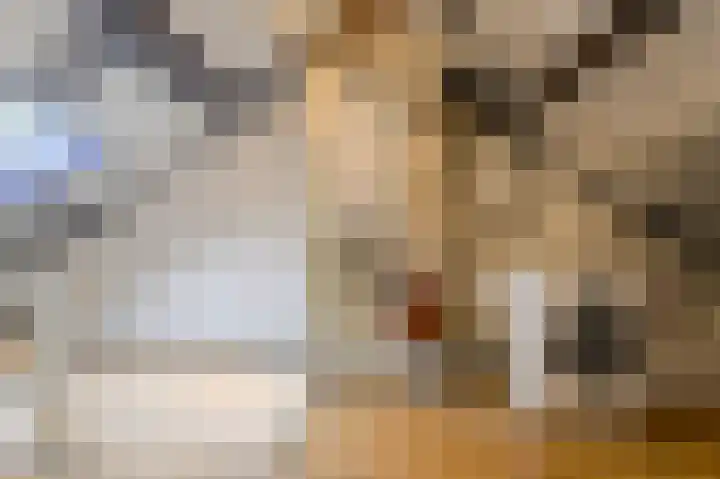 Hooilaan 104 Breda thumbnail 42