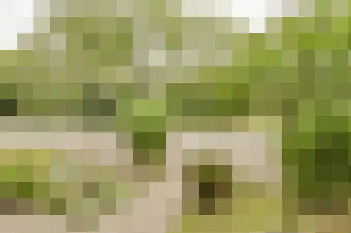 Hooilaan 104 Breda thumbnail 50