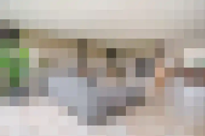 Hooilaan 14 De Kwakel thumbnail 11