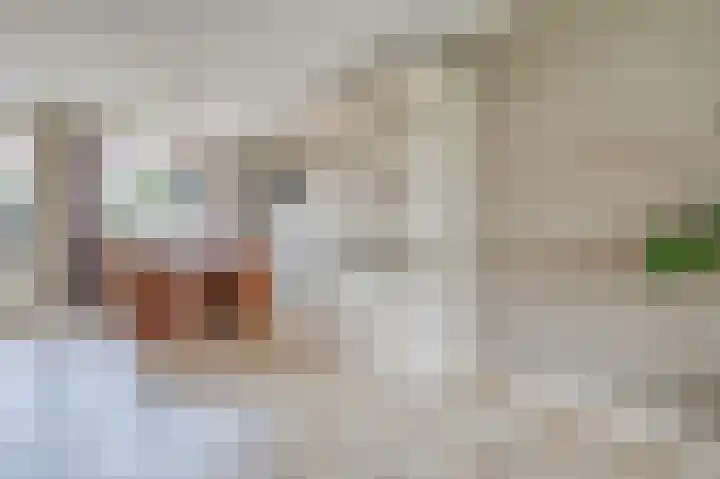 Hooilaan 14 De Kwakel thumbnail 13