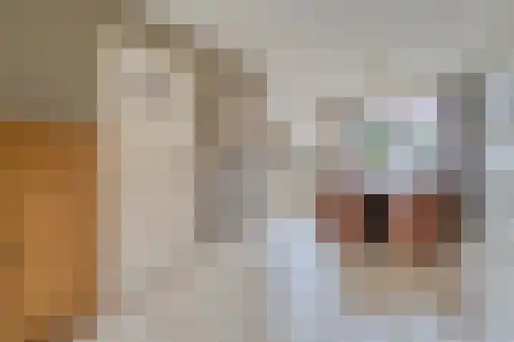 Hooilaan 14 De Kwakel thumbnail 14