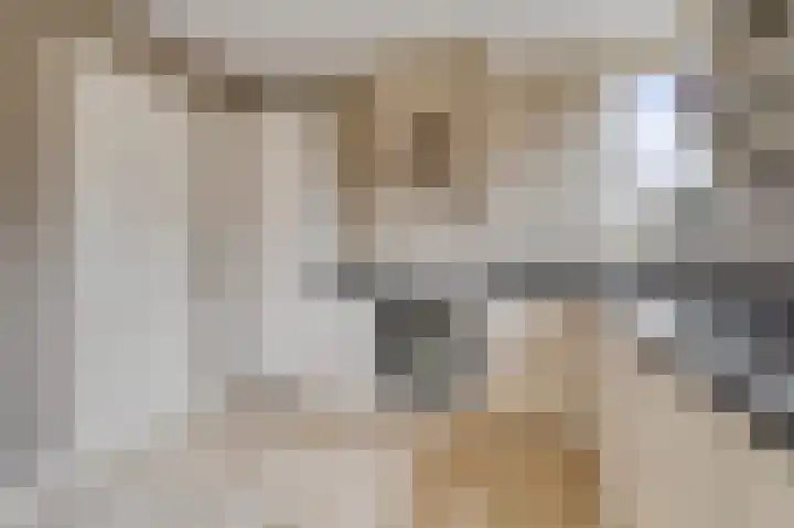 Hooilaan 14 De Kwakel thumbnail 16