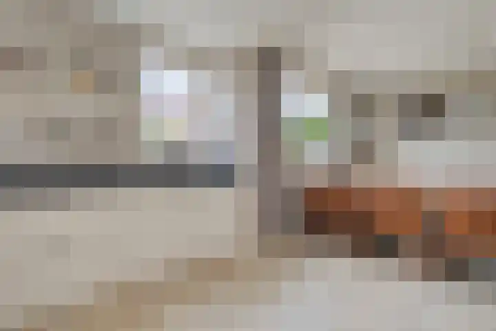 Hooilaan 14 De Kwakel thumbnail 19