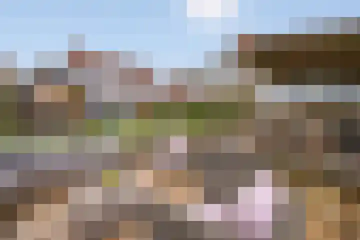 Hooilaan 14 De Kwakel foto 2