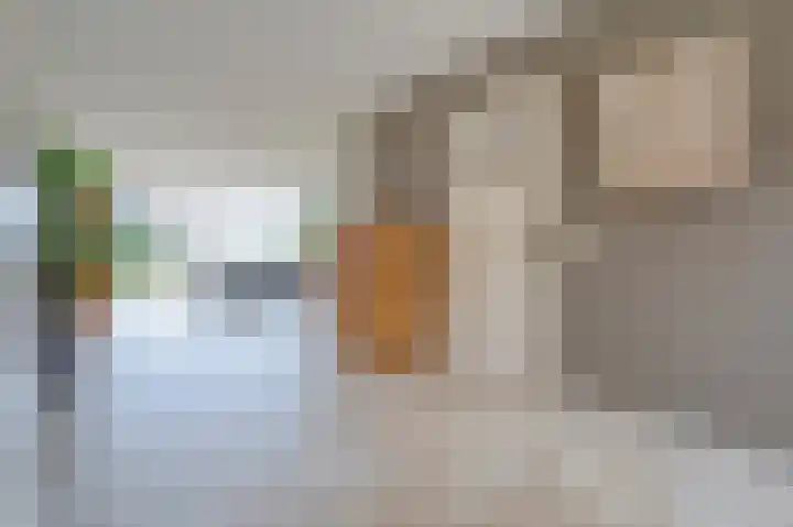 Hooilaan 14 De Kwakel thumbnail 22