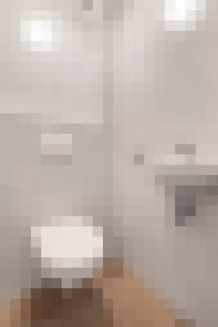 Hooilaan 14 De Kwakel thumbnail 23