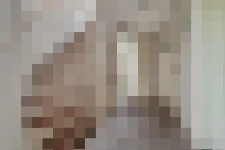 Hooilaan 14 De Kwakel thumbnail 24