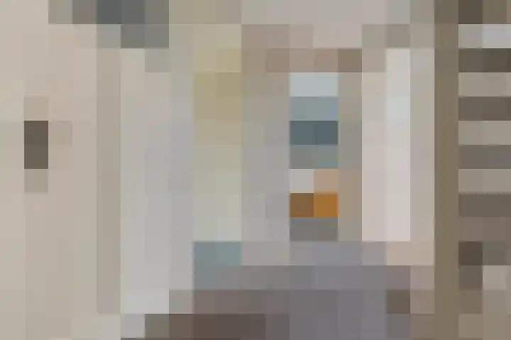 Hooilaan 14 De Kwakel thumbnail 25