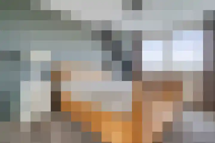 Hooilaan 14 De Kwakel thumbnail 26